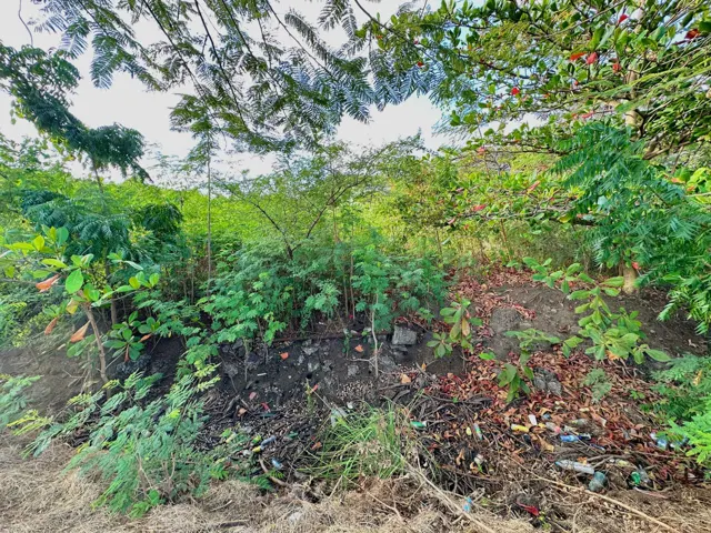 Point Saline Commercial Lot — listing photograph in Maurice Bishop Highway