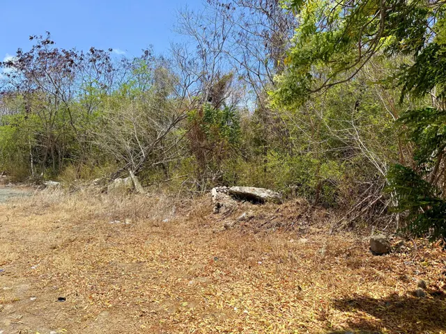 Point Saline Commercial Lot 4 — listing photograph in Point Saline