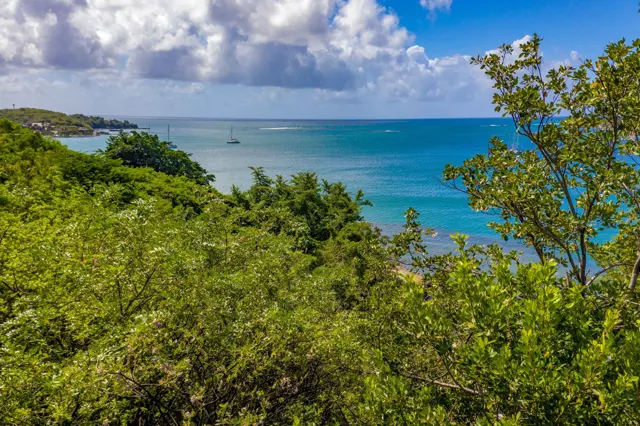 Point Calivigny Estate 1C — listing photograph in Petite Calivigny