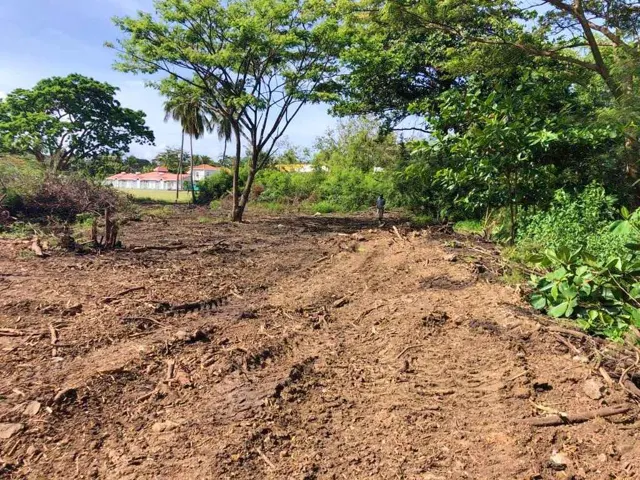 Palm Drive – Lot C — listing photograph in L'Anse Aux Epines