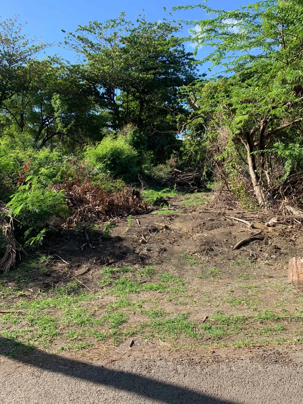 Palm Drive – Lot B — photograph 3
