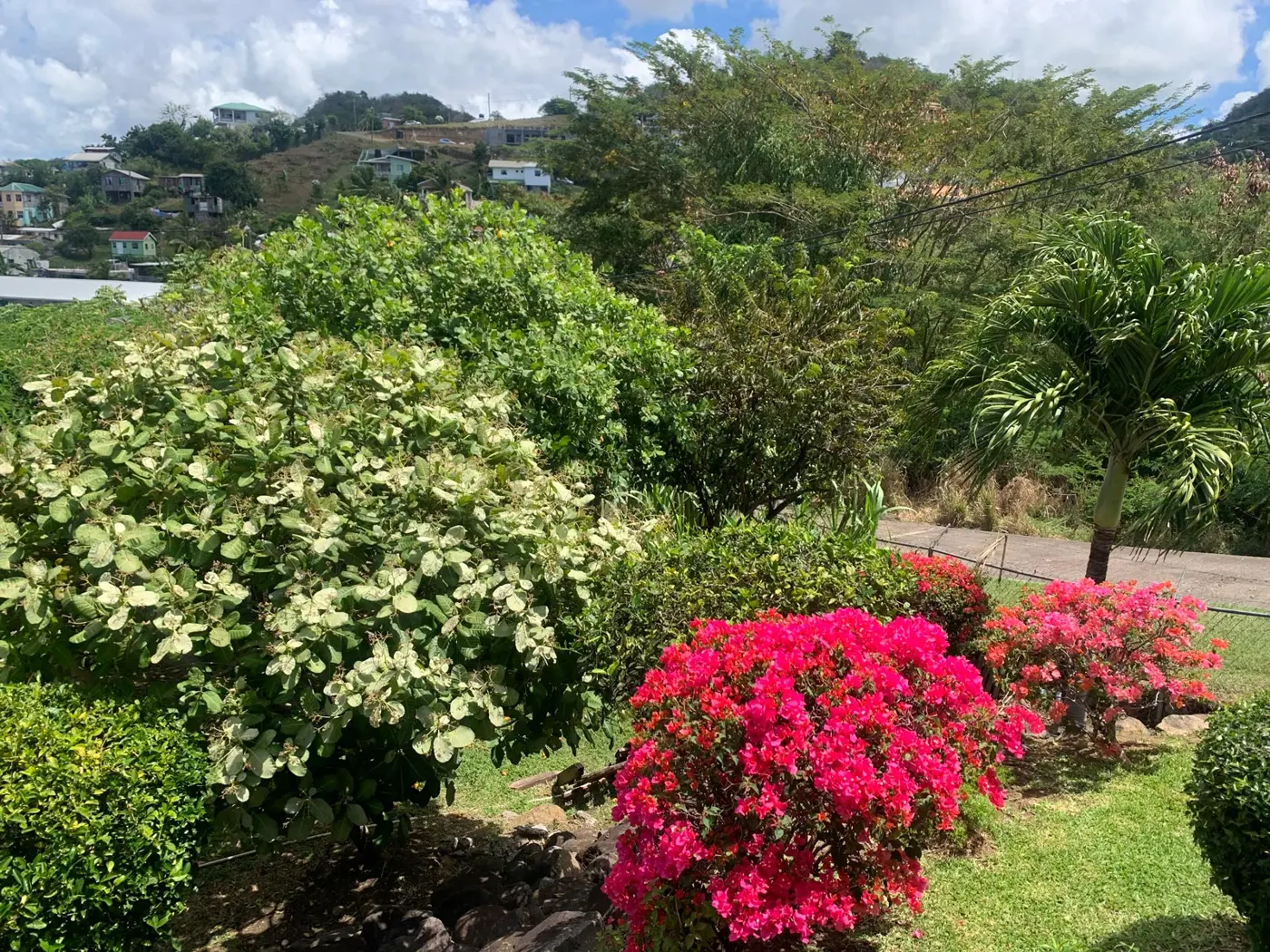 La Plaisance — photograph 3
