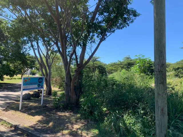 Palm Drive – Lot B — listing photograph in L'Anse Aux Epines