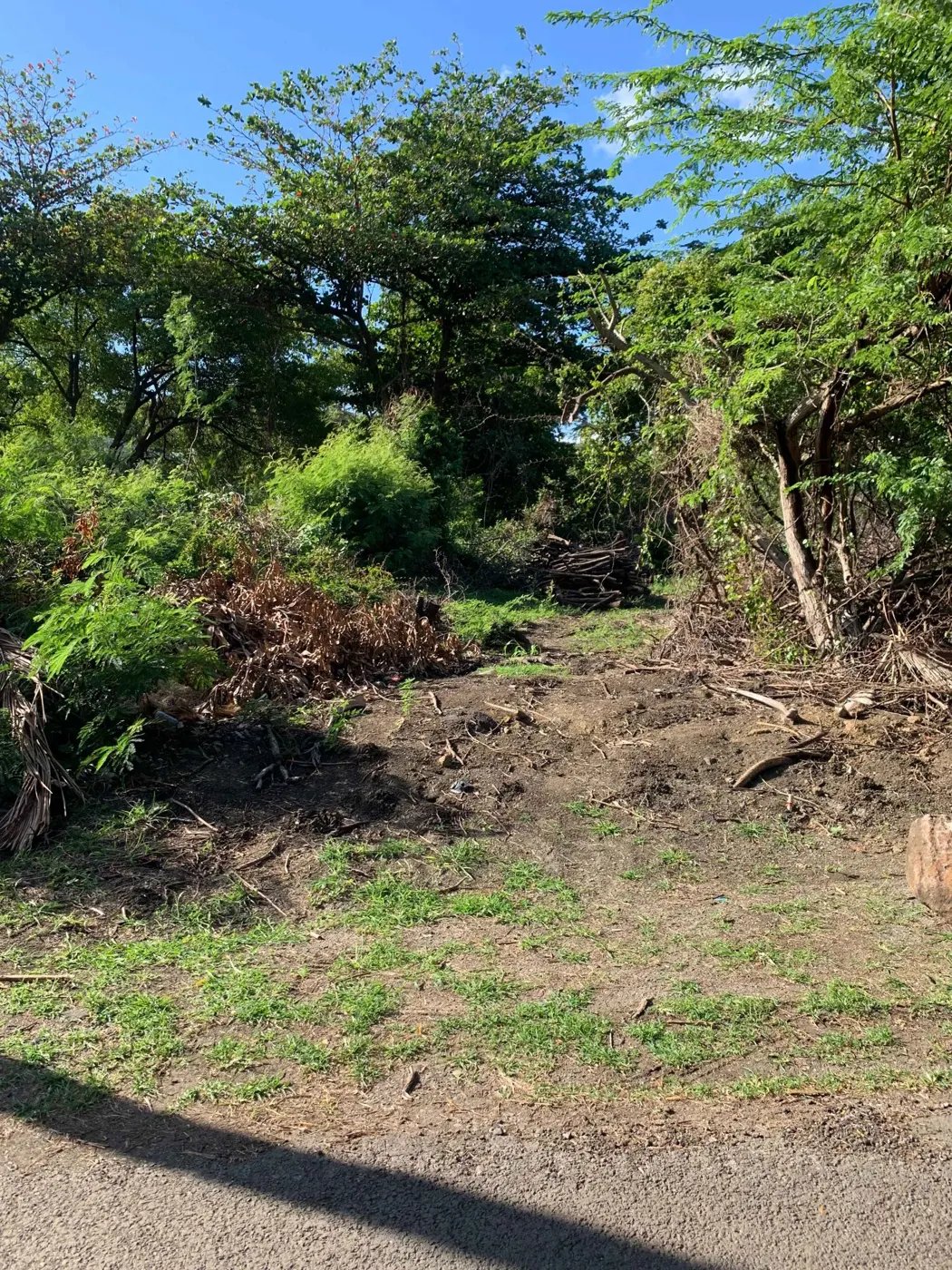 Palm Drive – Lot B — photograph 2